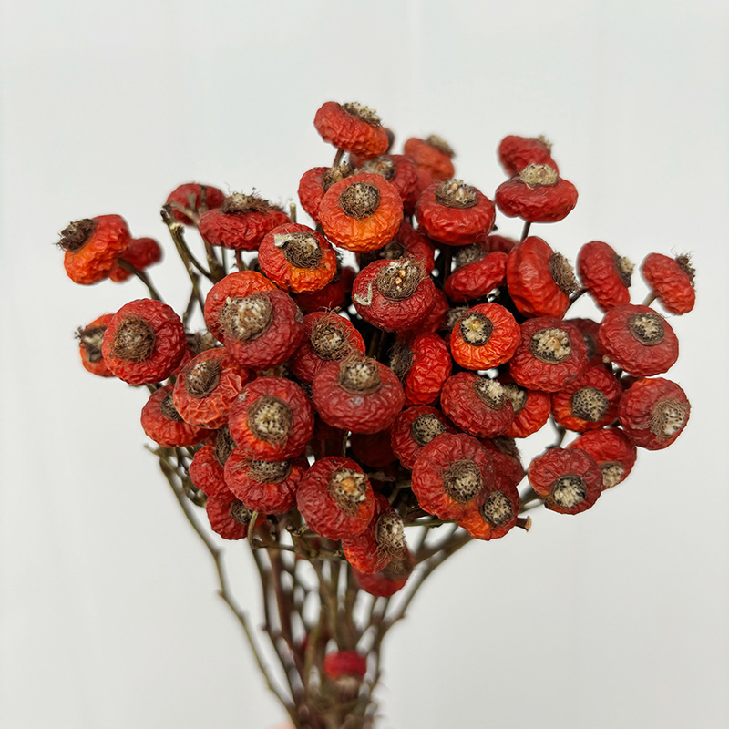 Dried Flower Bulk - 10 шт./пучок, сушеные цветы шиповника, натуральные