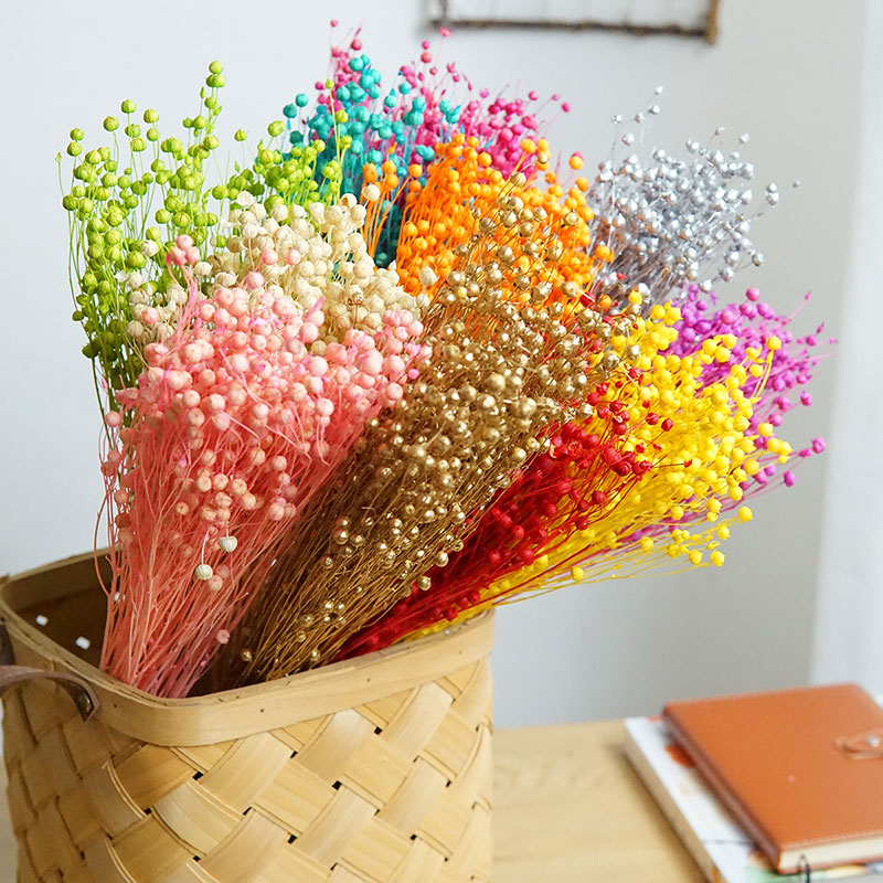 Dried Flower Bulk - 35 г/консервированные Ormosia Hosiei натуральные настоящие