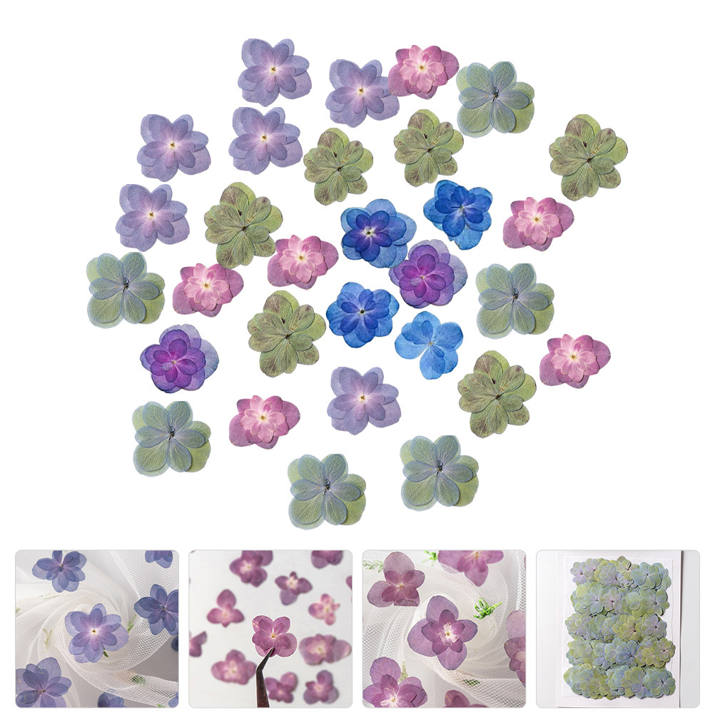 Dried Flower Bulk - 30 шт. разноцветных прессованных сухоцветов для