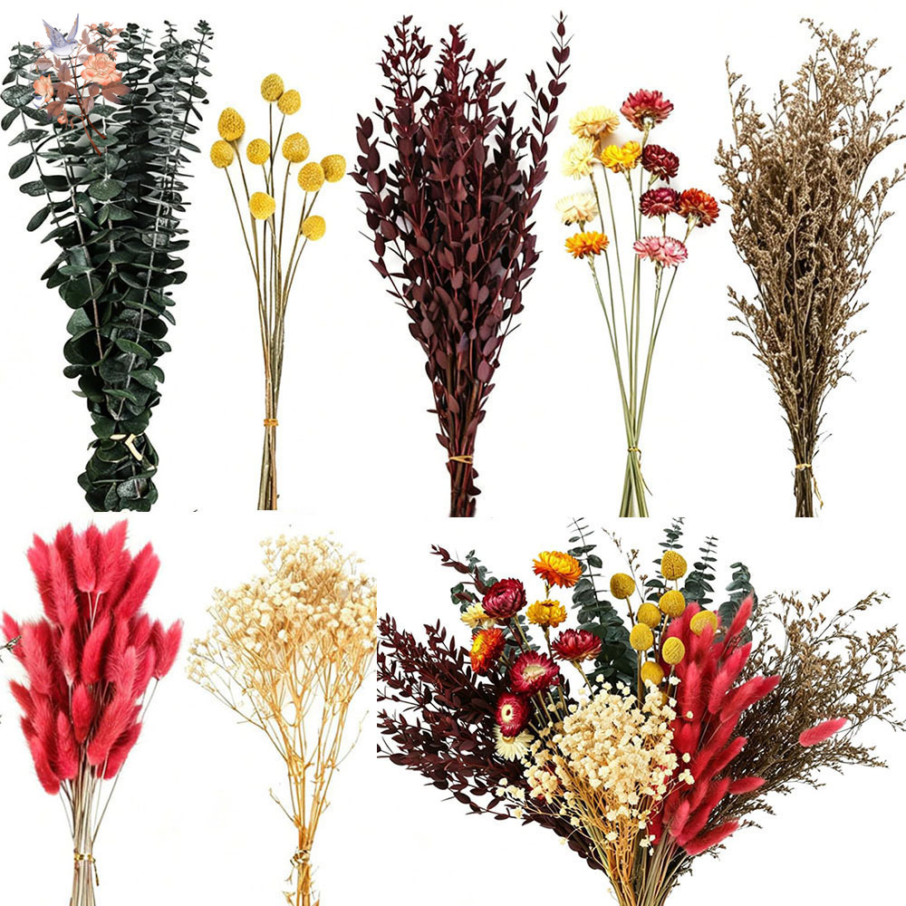 Набор сухоцветов оптом, 7 видо – обзор и цена Dried Flower Bulk