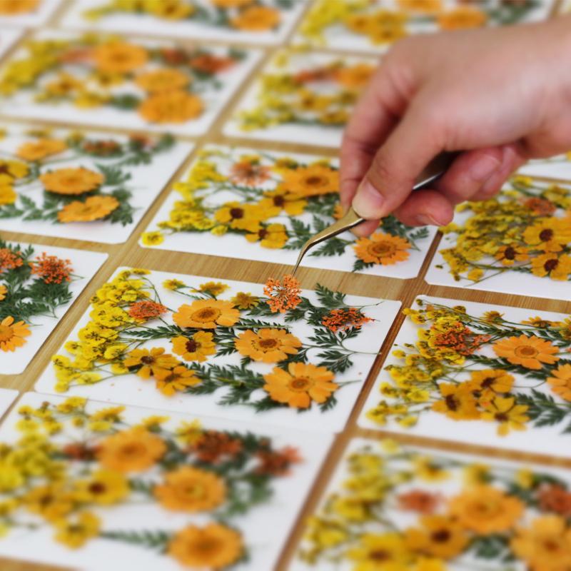 Настоящие натуральные прессова – обзор и цена Flower Preservation Resin