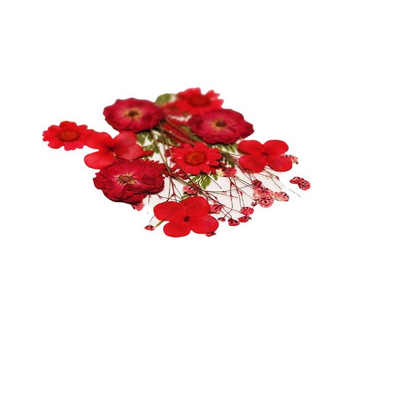 Настоящие натуральные прессова – обзор и цена Flower Preservation Resin