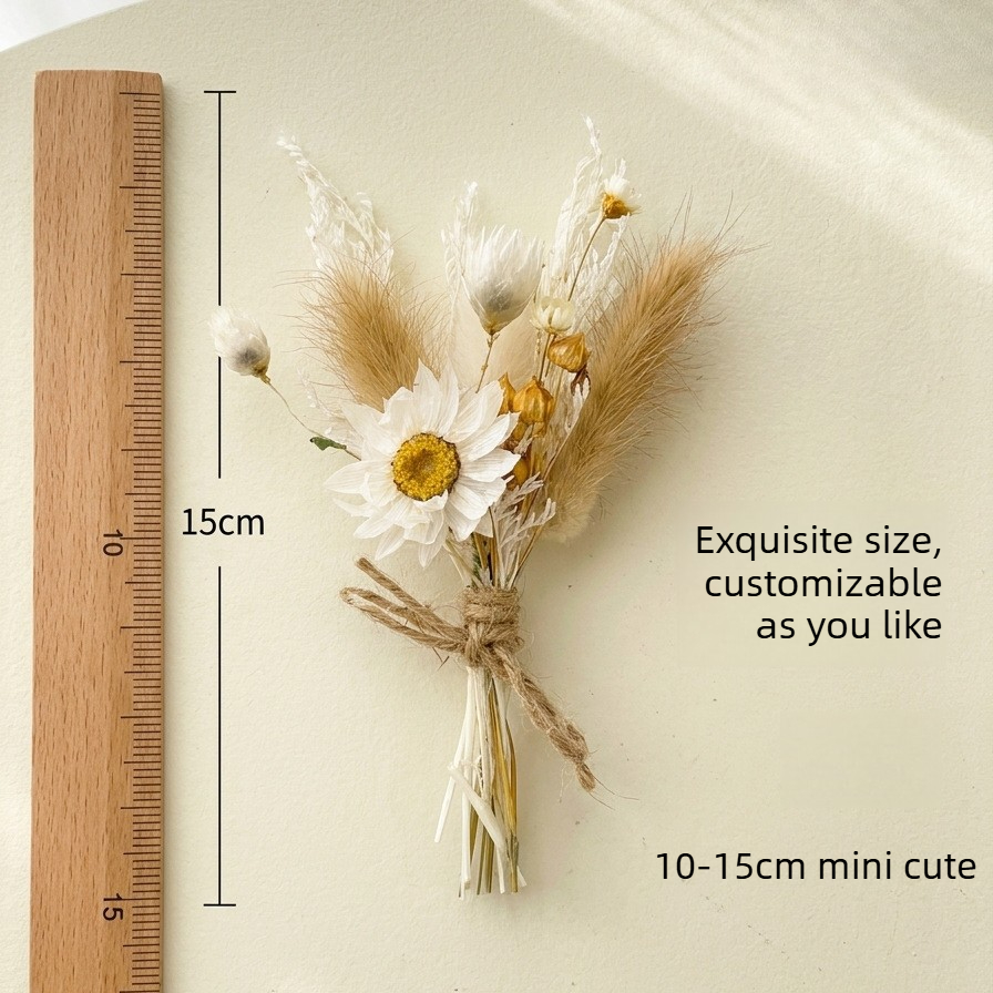 Мини-букет из сухоцветов, нату – обзор и цена Dried Flower Bulk
